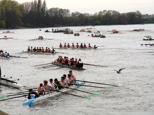 head of_the_river_race_09-03-12