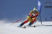 IPC Alpine skiing