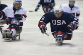 USA ice sledge hockey