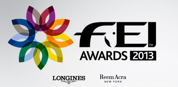 FEI awards 2013