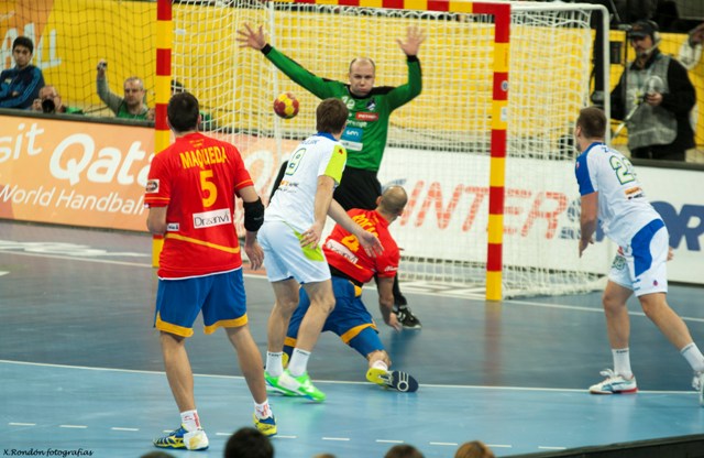 World Handball Championships 2013