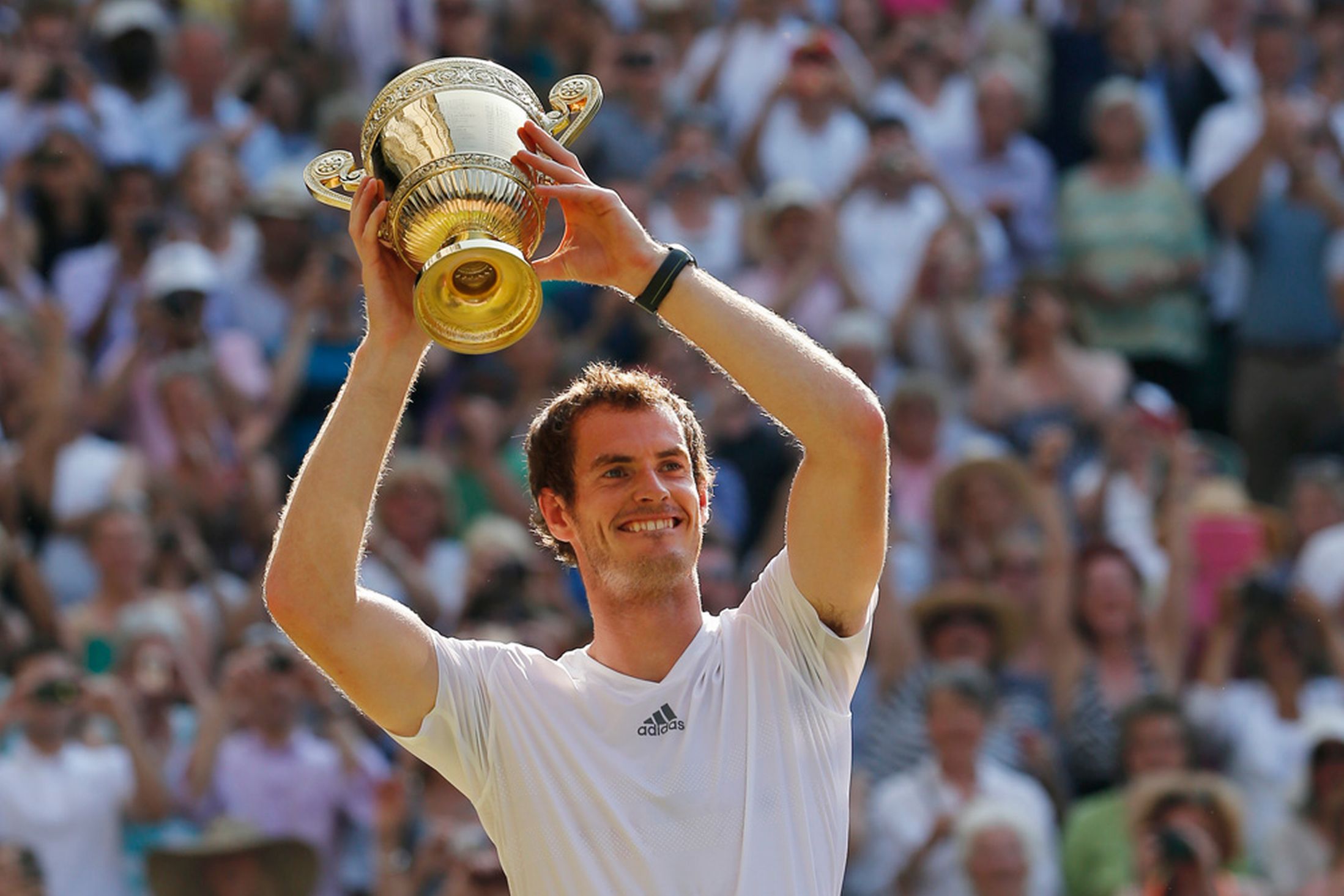 Andy Murray celebrates winning Wimbledon 2013