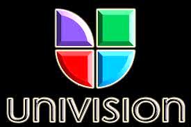 Univision will broadcast all of the USA Knockouts matches in this season's World Series of Boxing © Univision