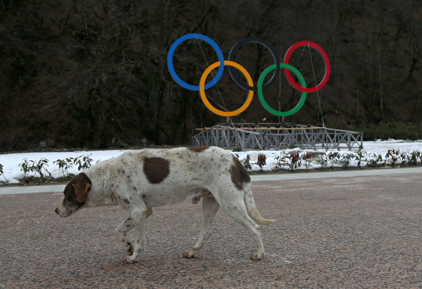 A stray dog even wandered into the rehearsal for the Opening Ceremony earlier this week ©Getty Images