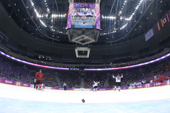 The Bolshoy Arena is just one of many Sochi 2014 venues that Dow have been involved in ©Getty Images