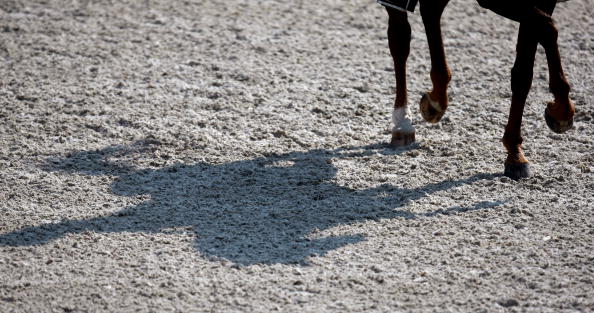 The Equine Surfaces White Paper features the latest data on arena and turf surfaces, and the effects these have on horses in training and in competition ©Bongarts/Getty Images