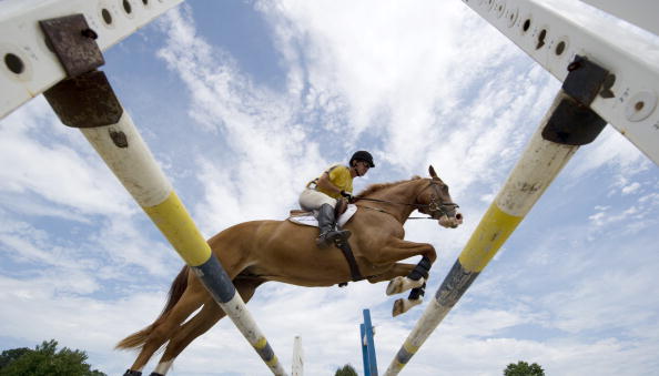 An unprecedented number of countries are expected to compete in the next edition of the World Equestrian Games in Normandy later this year ©Normandy 2014