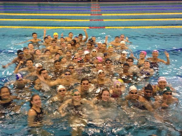 Swimmers participating in a mass training session ©Twitter