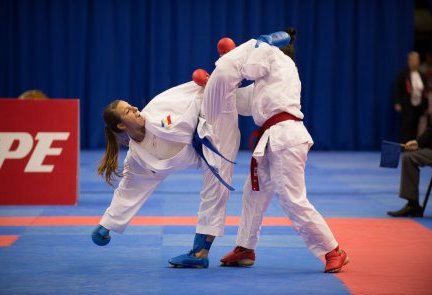 The Karate1 Premier League Series brings together the world's best competitors as they battle in a series of open championships across the world ©WKF