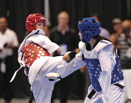 2015 is set to be a busy year for the sport of para-taekwondo after it was given a spot on the Paralympic programme at Tokyo 2020