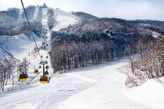 Bokwang Phoenix Park will host snowboarding and freestyle skiing at Pyeongchang 2018 ©Bokwang Phoenix Park 
