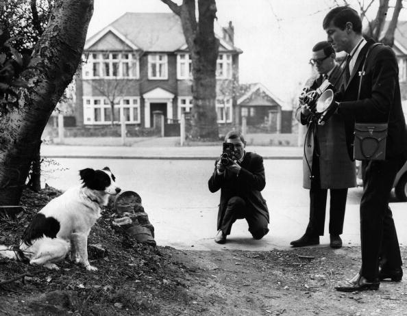 Pickles finds himself the centre of attention after discovering the stolen Jules Rimet trophy four months before the 1966 World Cup finals were due to start in England  ©Hulton Archive/Getty Images