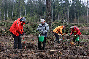 The National Olympic Committee of the Republic of Belarus organised for medalists to take part in Forest Week 2015 ©NOC RB