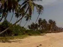 Hambantota_beach_with_palm_trees