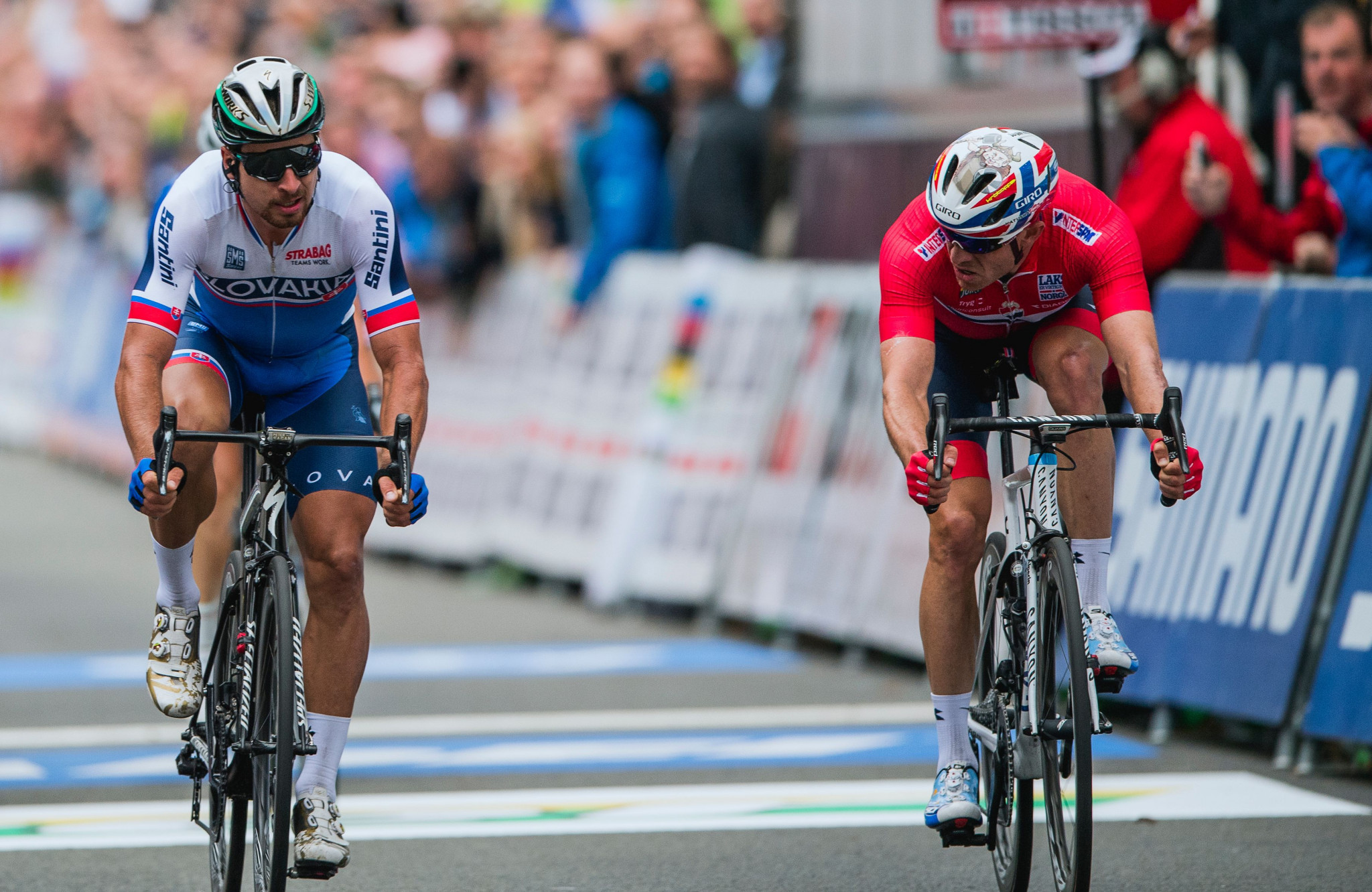   Peter Sagan, Slovakia, ft, won the elite men's road race at the 2017 World Road Championships in Bergen, Norway for the third time in a row © Getty Images 