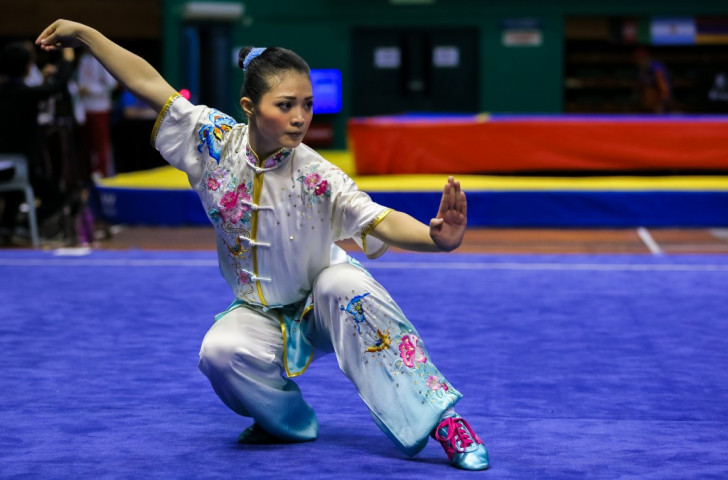 Image result for wushu