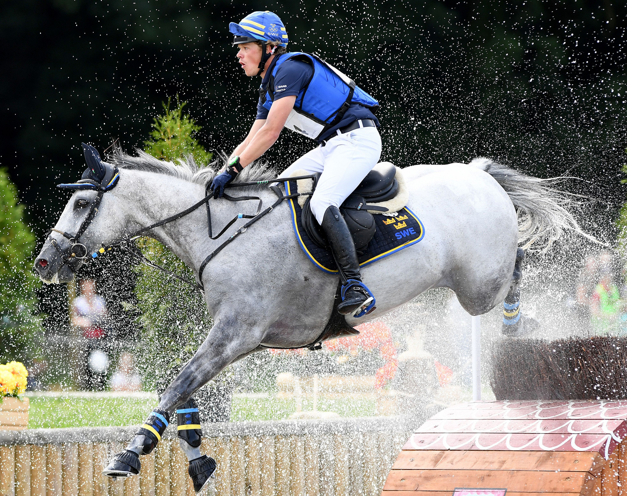 Sweden lead way after first part of dressage at FEI Eventing Nations Cup